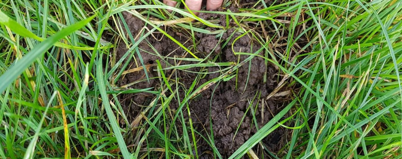 Soil health – what is it?